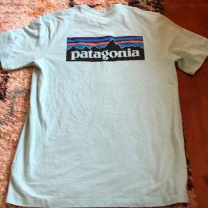 Patagonia Tee